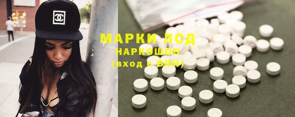 стаф Володарск