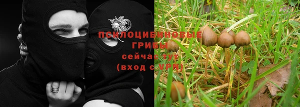 стаф Володарск