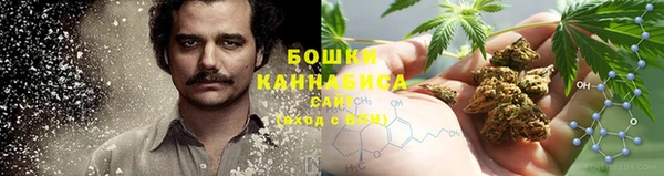 mdpv Волоколамск