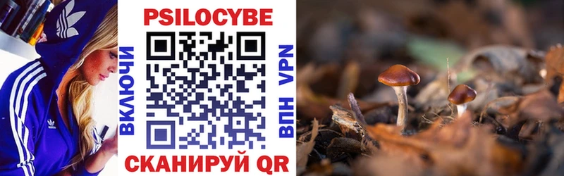 Галлюциногенные грибы ЛСД Купить где Семёнов